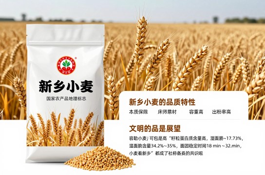 新乡小麦是哪里的特产?_河南粮食类介绍-展庭百科汇