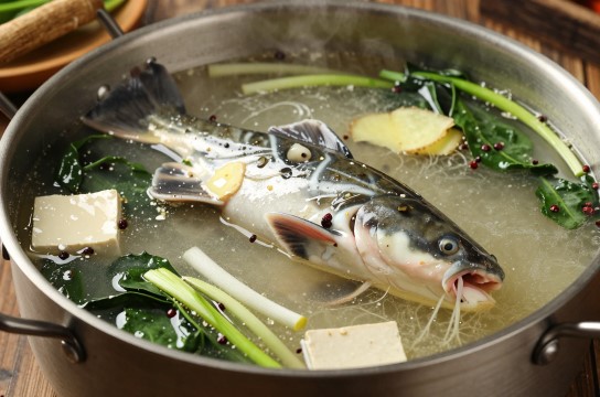 鲶鱼汤
