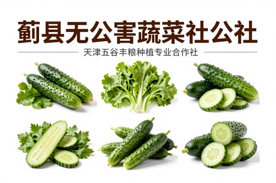 蓟县无公害蔬菜-展庭百科汇