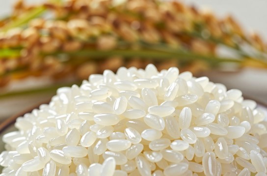 岔河大米是哪里的特产?_江苏粮食品种介绍-展庭百科汇