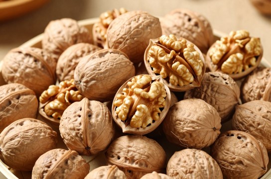 黄花山核桃-展庭百科汇