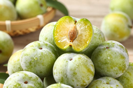 巫山脆李-展庭百科汇