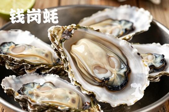 钱岗蚝-展庭百科汇