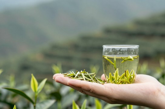 蒙顶山毛峰-展庭百科汇