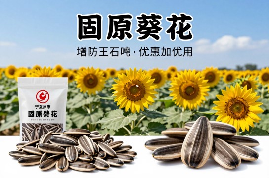 固原葵花