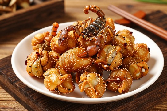 炸野生蝎子是哪里的特产?_北京特色美食介绍-展庭百科汇