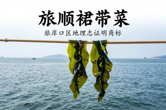 旅顺裙带菜是哪里的特产?_辽宁海产品介绍-展庭百科汇