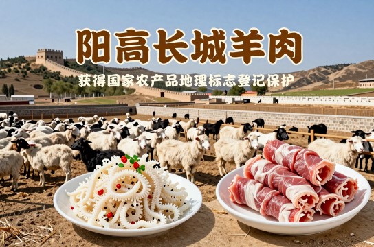 阳高长城羊肉
