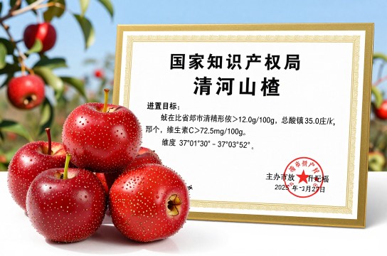 清河山楂-展庭百科汇