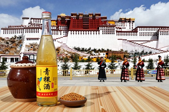 西藏青稞酒-展庭百科汇