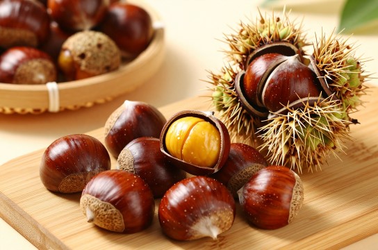 天梯板栗-展庭百科汇