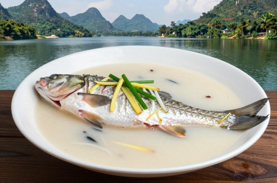 大龙洞清水鱼是哪里的特产?_广西美食特产介绍-展庭百科汇