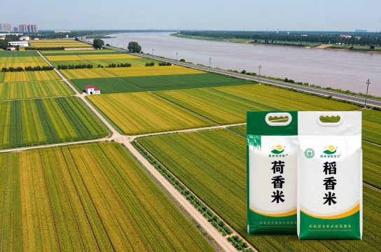 吴家堡优质水稻-展庭百科汇