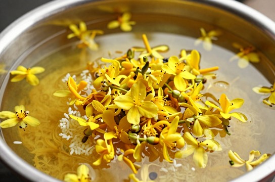 染饭-展庭百科汇