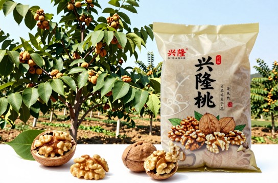 兴隆核桃是哪里的特产?_河北农产品介绍-展庭百科汇