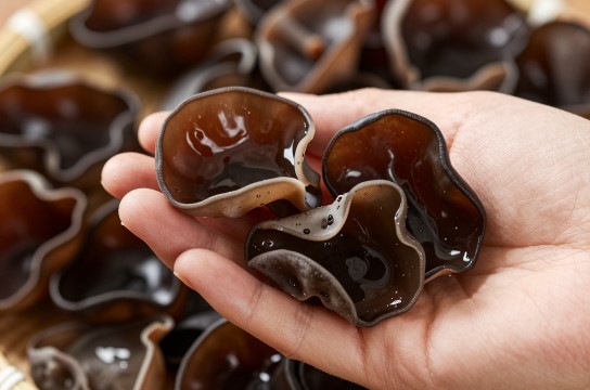 嘉荫黑木耳-展庭百科汇