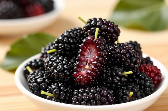 腊皮桑葚-展庭百科汇