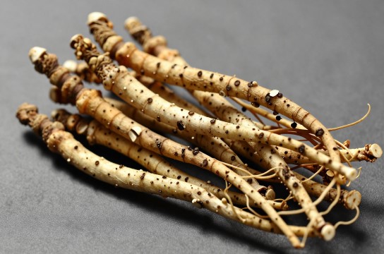 新宾辽细辛-展庭百科汇