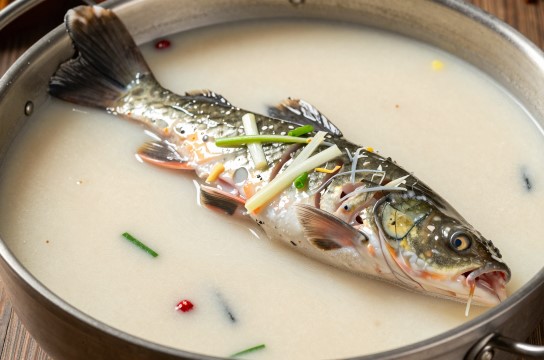 上林土鲶鱼是哪里的特产?_广西美食水产介绍-展庭百科汇