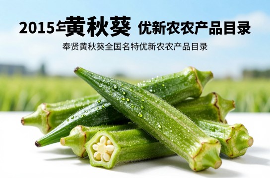 奉贤黄秋葵是哪里的特产?_上海特种蔬菜介绍-展庭百科汇