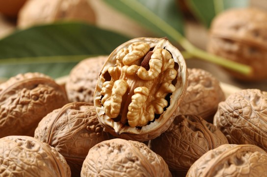 巴山核桃-展庭百科汇