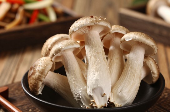 景宁茶树菇-展庭百科汇