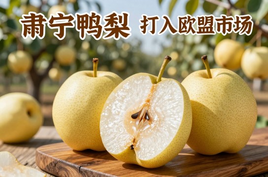 肃宁鸭梨-展庭百科汇