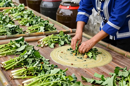 浆盐菜