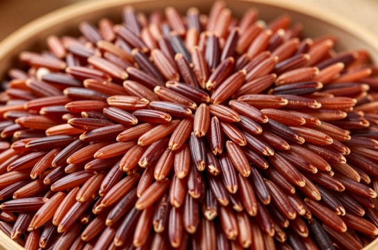 曹妃甸胭脂稻是哪里的特产?_河北粮食特产介绍-展庭百科汇