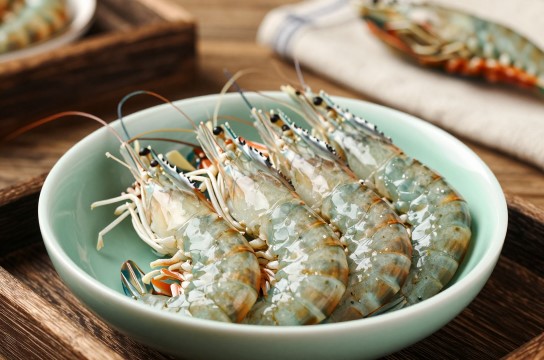 广洋湖青虾-展庭百科汇