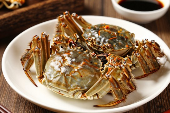 宁河醉蟹