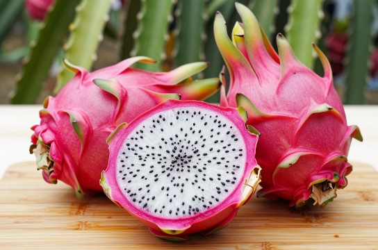 南宁火龙果-展庭百科汇