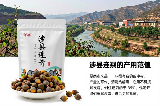 涉县连翘-展庭百科汇