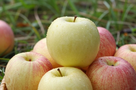 道孚苹果-展庭百科汇