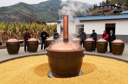 “二脑壳”酒-展庭百科汇