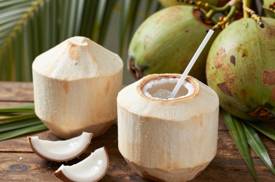 文昌椰子-展庭百科汇