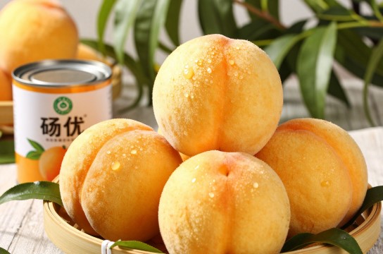 砀山黄桃-展庭百科汇