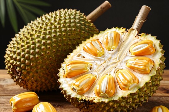 海南菠萝蜜-展庭百科汇