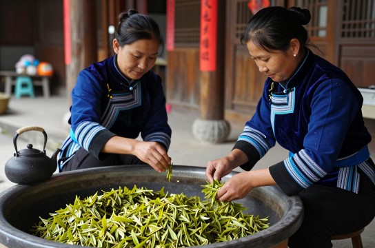 姑娘茶-展庭百科汇