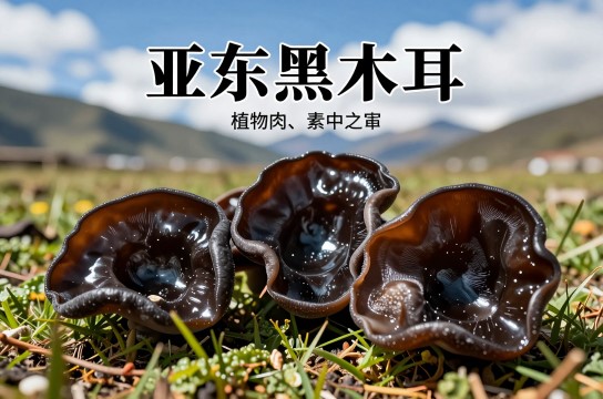 亚东黑木耳