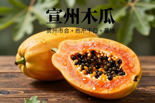 宣州木瓜是哪里的特产?_安徽农产果品介绍-展庭百科汇
