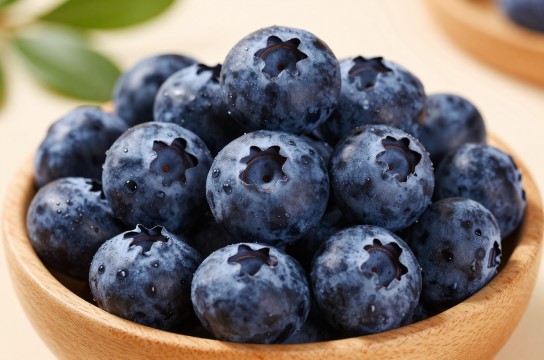 长白山蓝莓-展庭百科汇