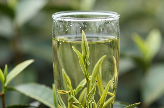 野雀舌茶-展庭百科汇