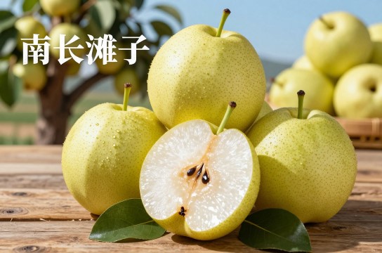 南长滩软梨子