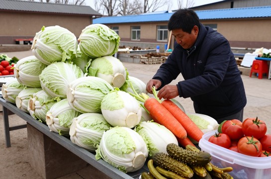 涞源腌菜
