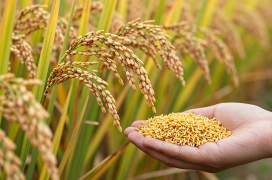 钦州赤禾-展庭百科汇