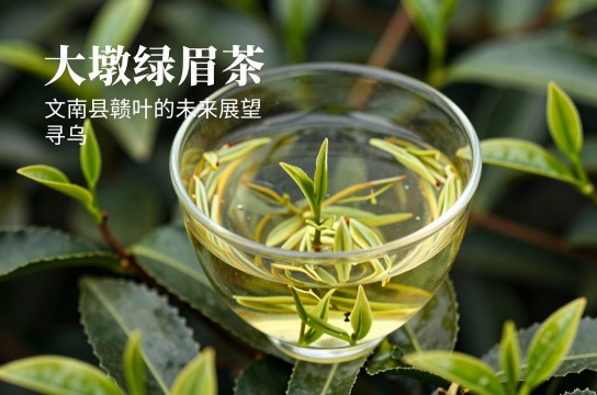 寻乌茶叶-展庭百科汇