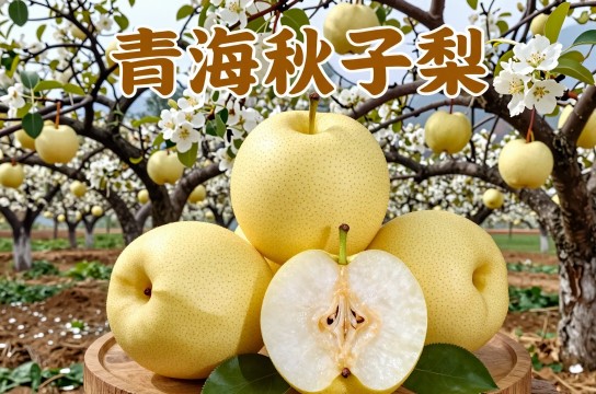 青海秋子梨是哪里的特产?_青海水果介绍-展庭百科汇