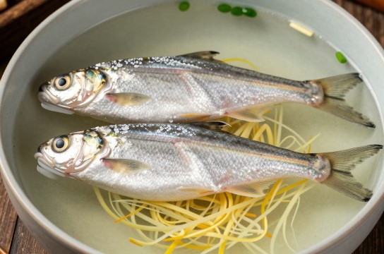天井湖银鱼