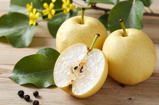 文安地梨-展庭百科汇